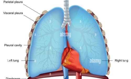 宝宝大便青色而且鼻塞网 :分享宝宝大便青色而且鼻塞吃什么药-宝宝大便青绿色什么原因知识