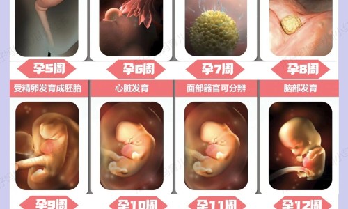 宝宝大便青色而且鼻塞网 :分享宝宝大便青色而且鼻塞吃什么药-宝宝大便青绿色什么原因知识